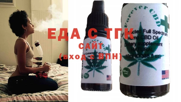 тгк Новозыбков