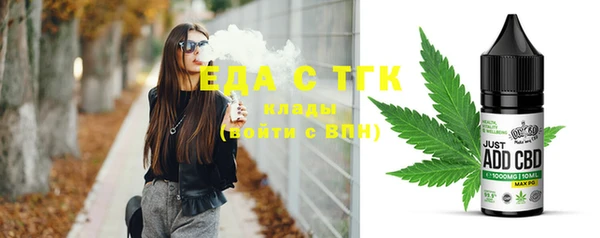 тгк Новозыбков