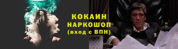 тгк Новозыбков