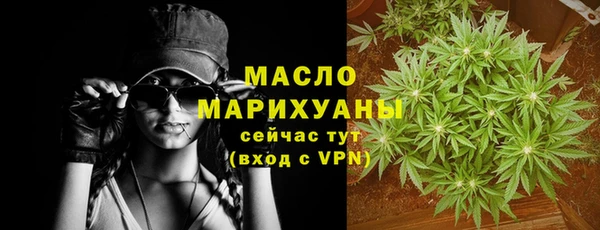 тгк Новозыбков