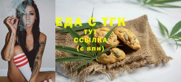 тгк Новозыбков