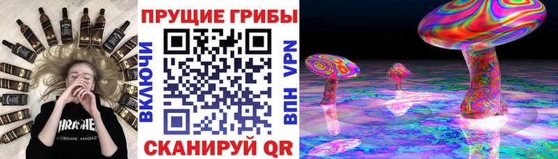 Псилоцибиновые грибы Psilocybine cubensis  Ладушкин 